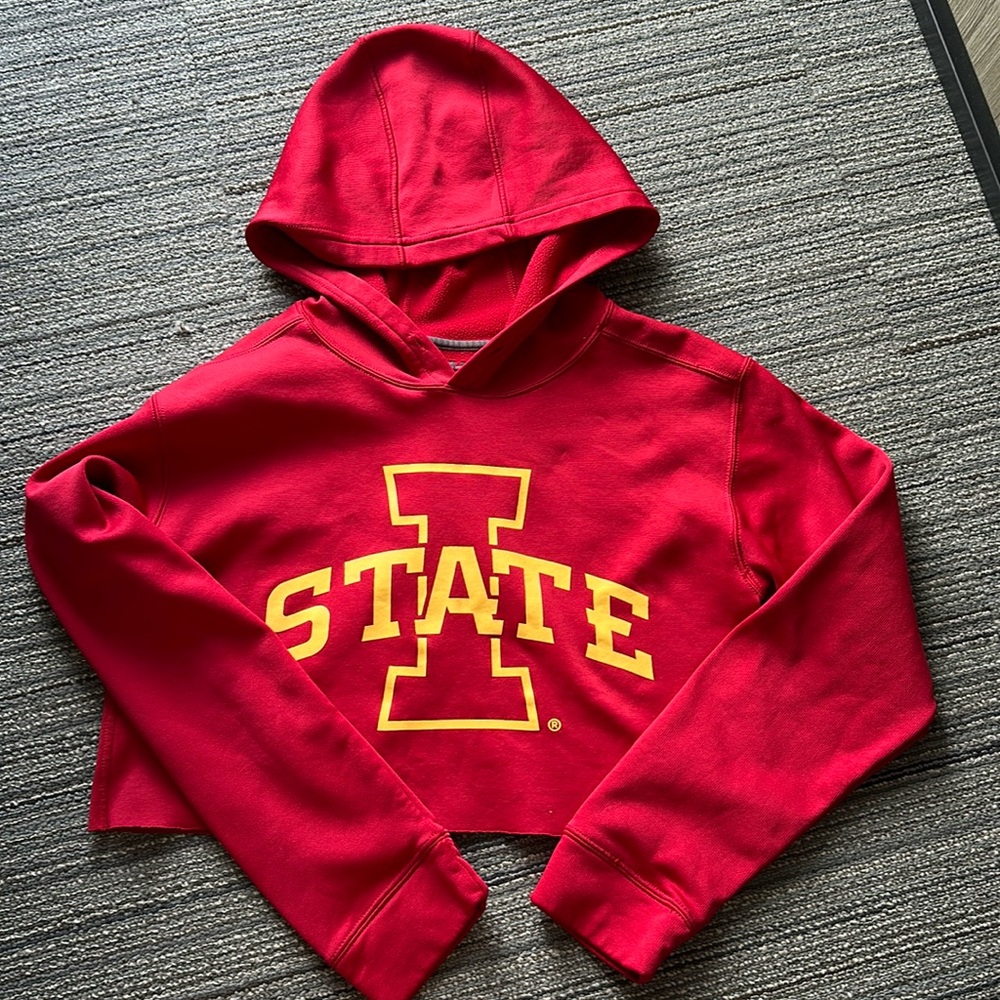 Iowa state cropped sweatshirt